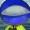 Blue/White/Blue - Standard Color
