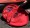 Rapidup carrying case.
