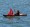 Paddling while sailing!
