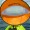 Orange/White/Orange - Standard Color