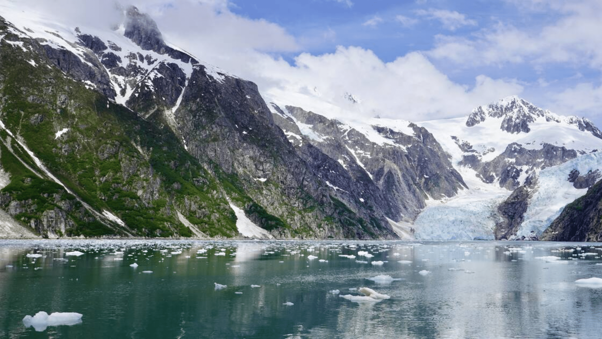 Kenai Fjords