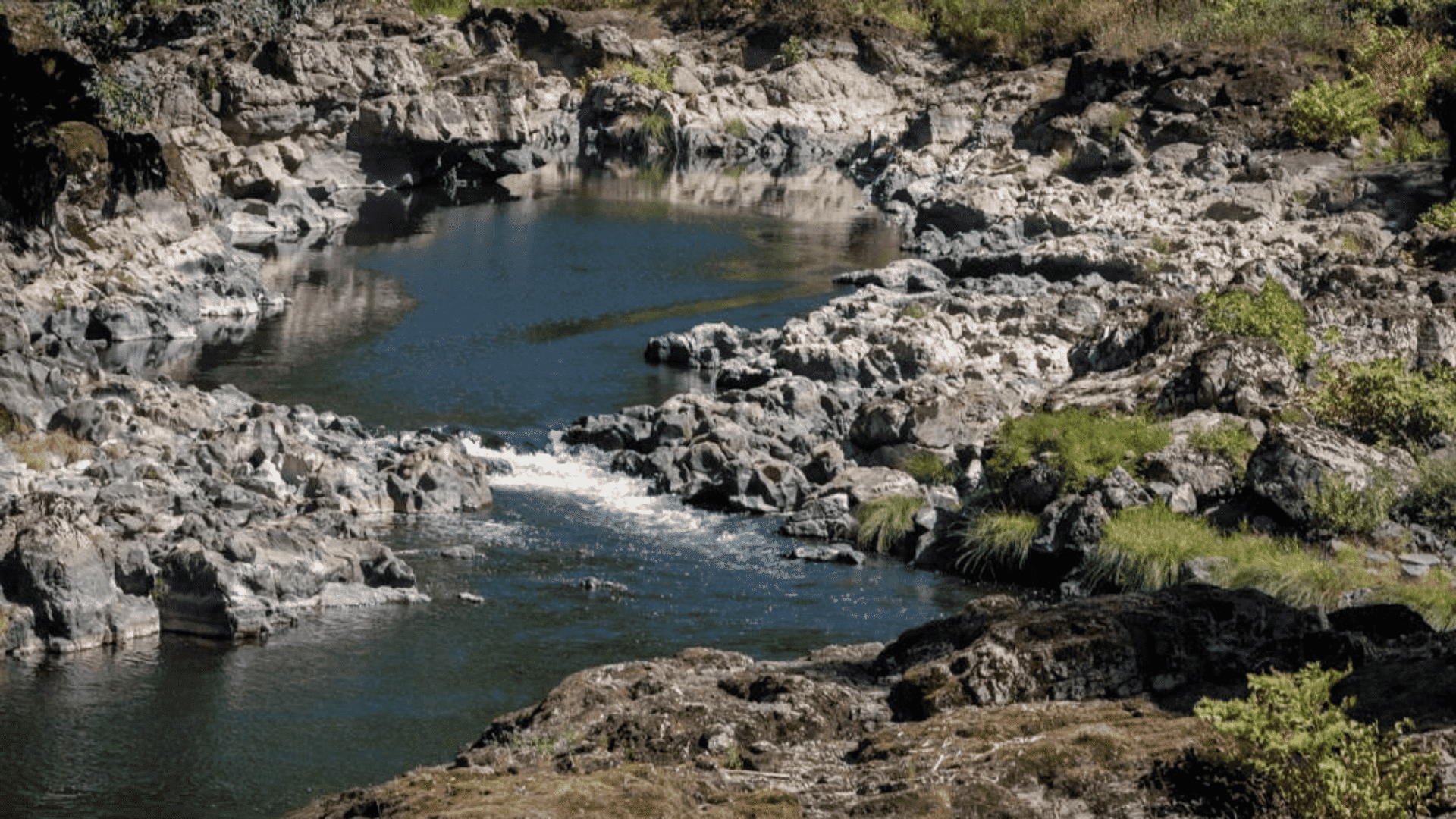 Nehalem River