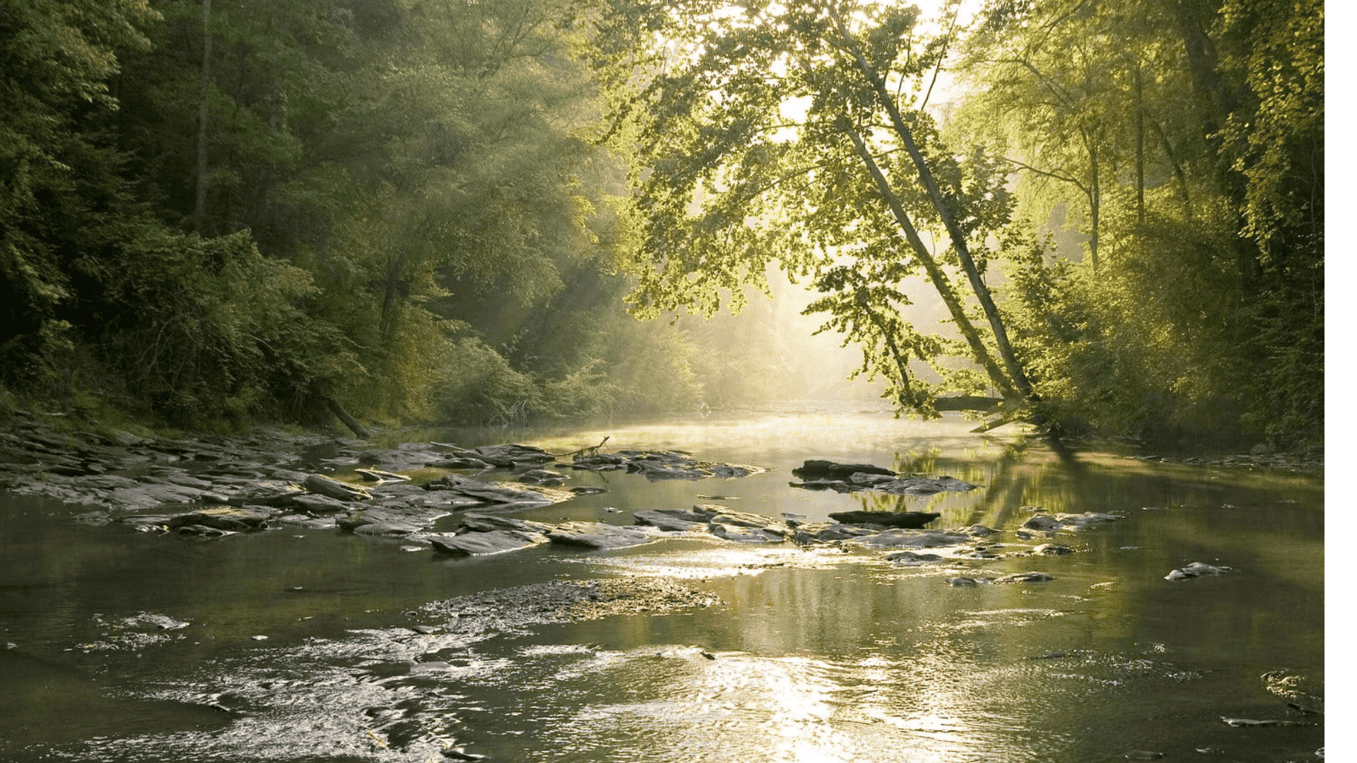 cahaba river