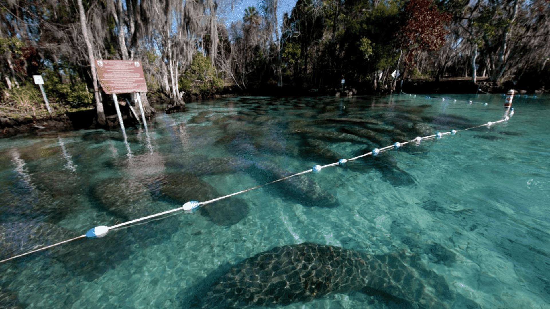 crystal river
