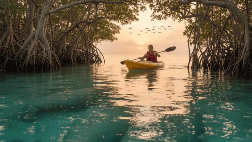 florida kayak