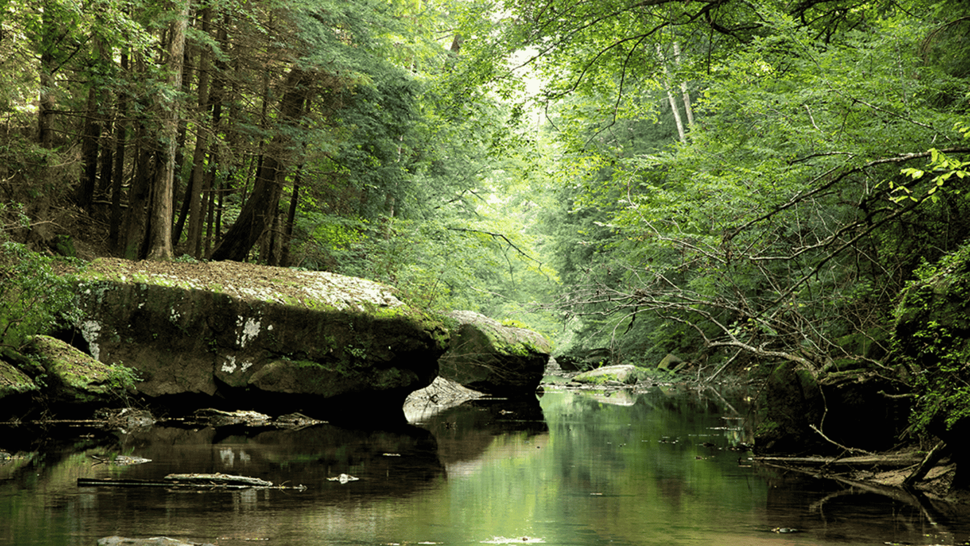 sipsney river