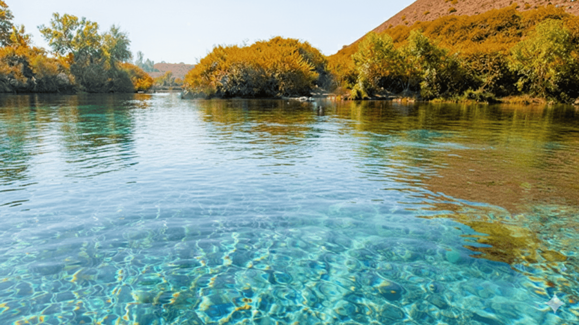 staying safe on the snake river