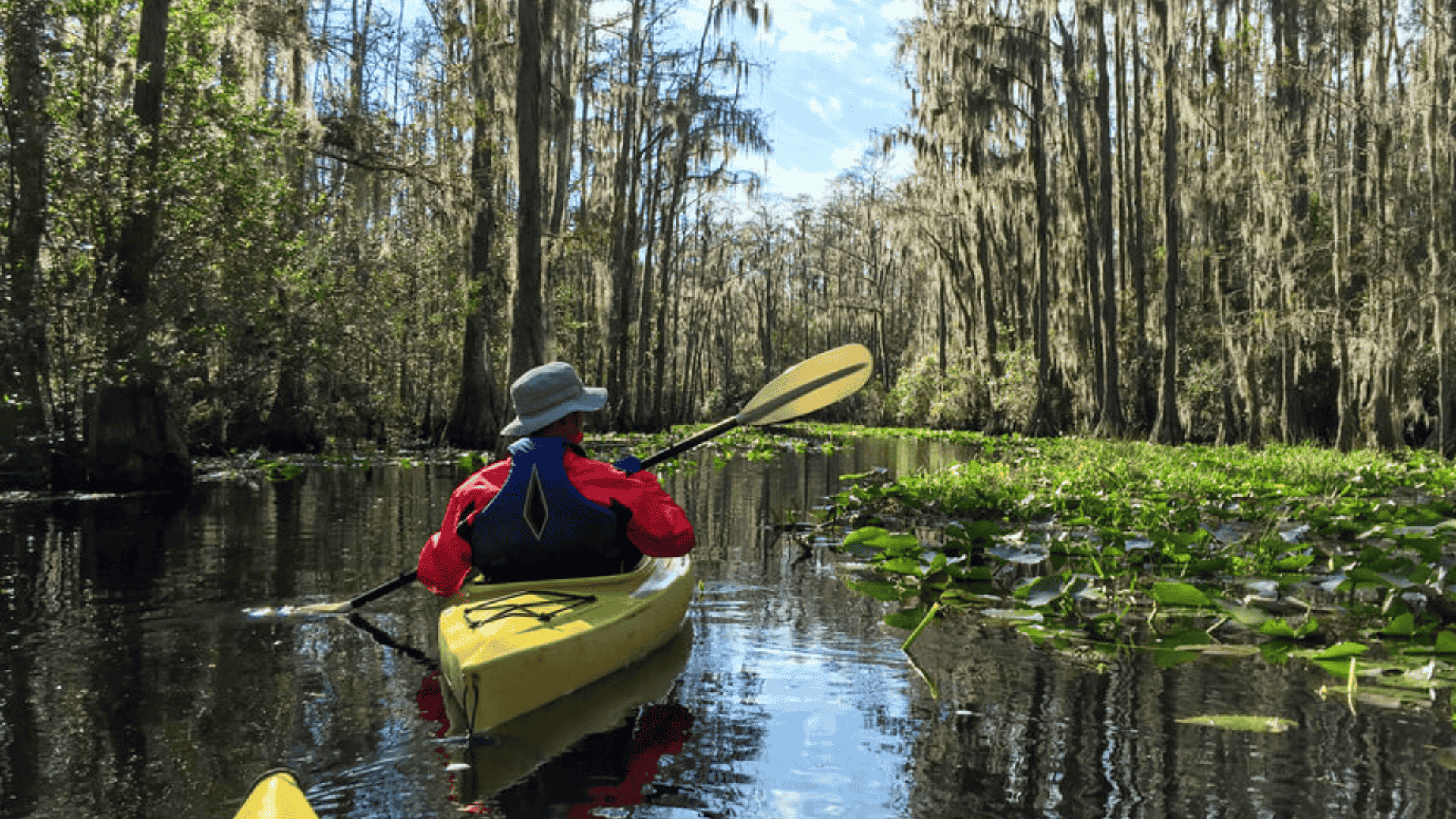 tampa bay