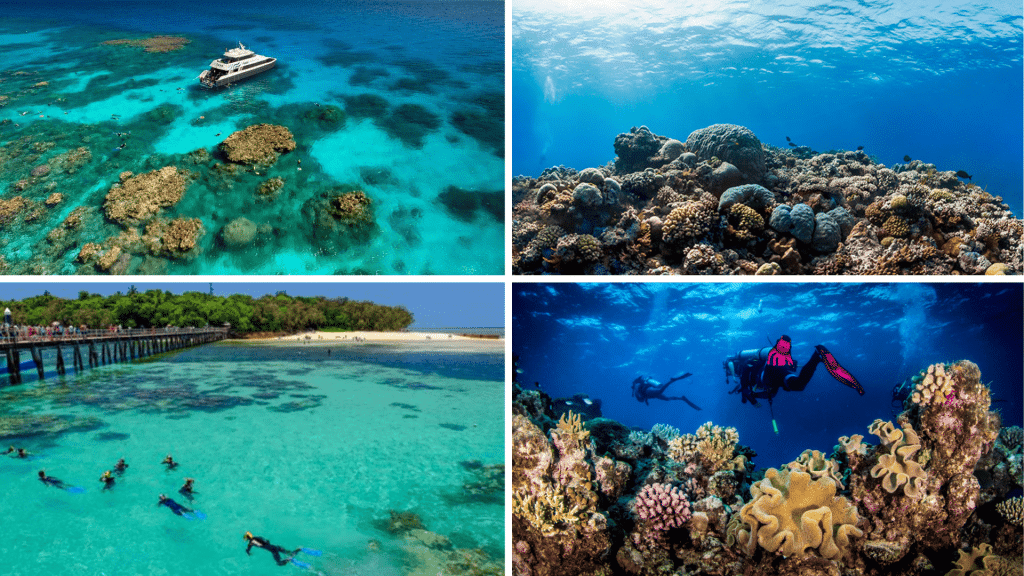 Best Great Barrier Reef Scuba Diving Tours