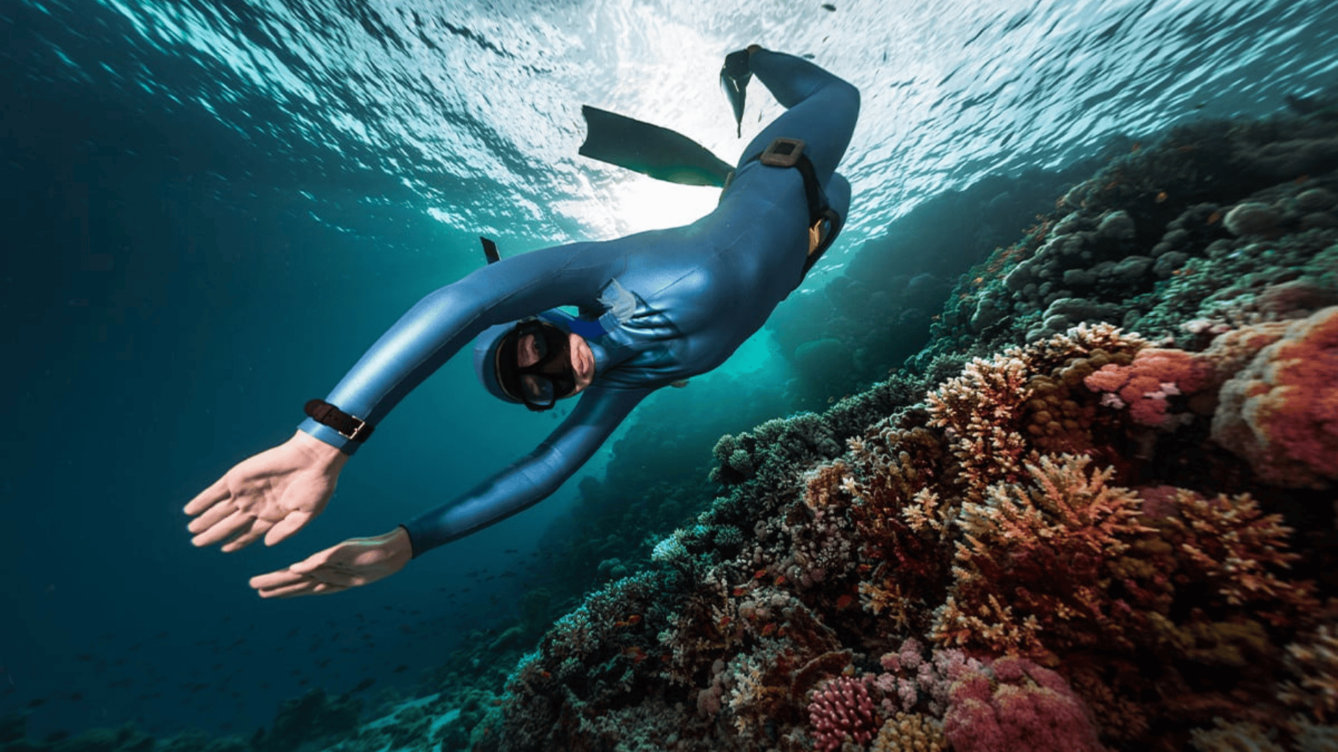 Free Diving as a modern sport