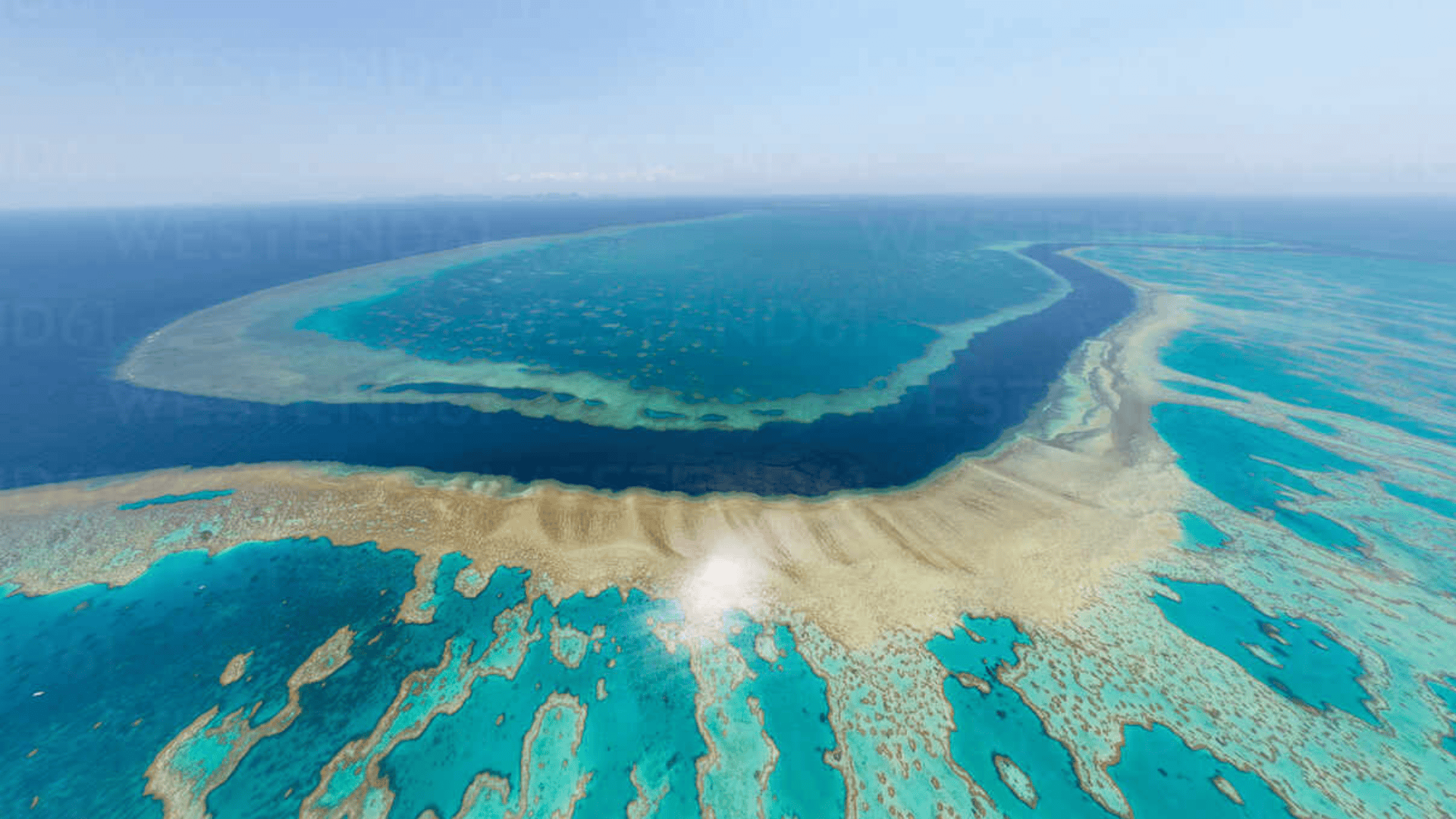 Great Barrier Reef Scuba Diving
