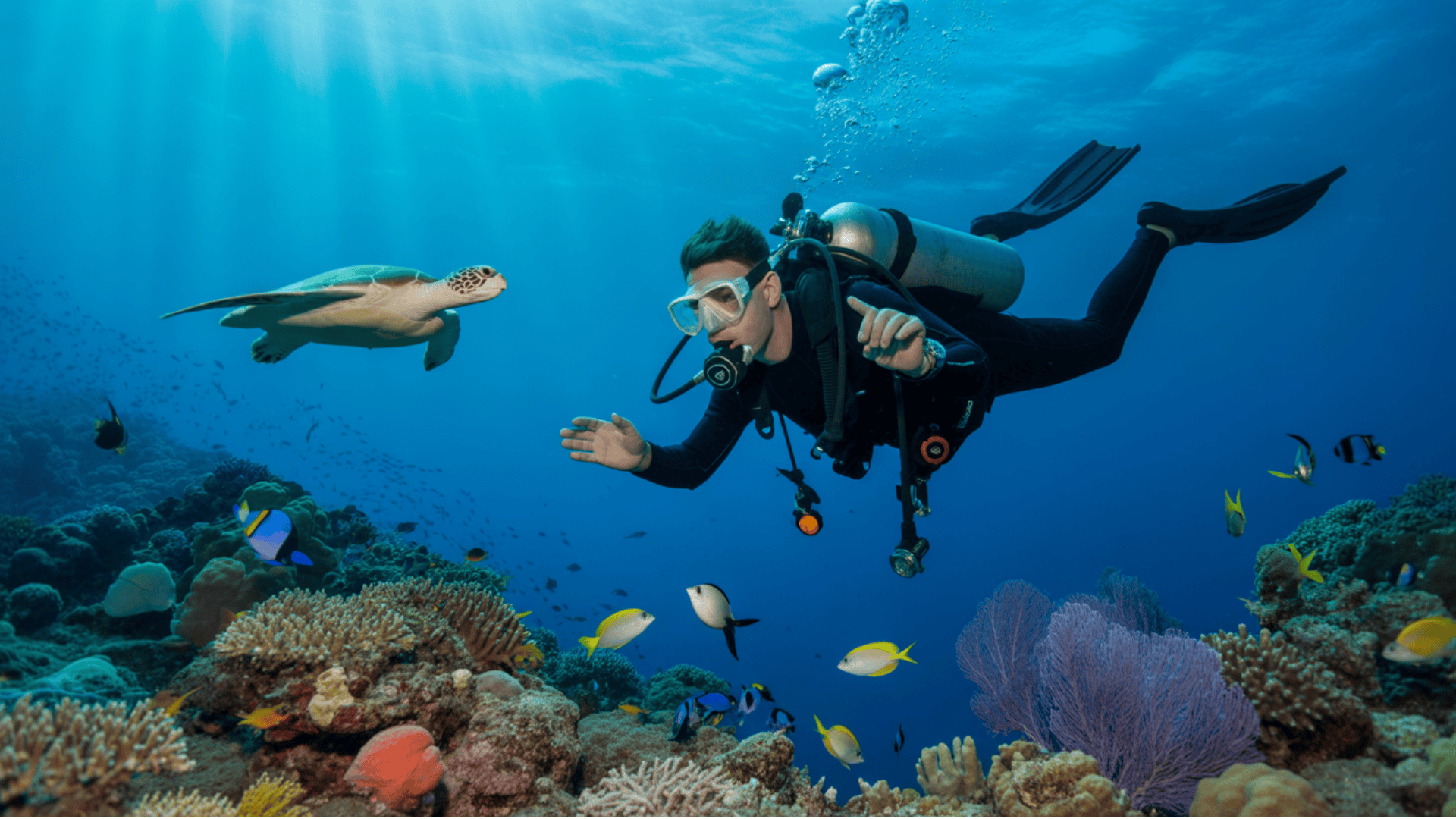 Red sea scuba diving- featured image