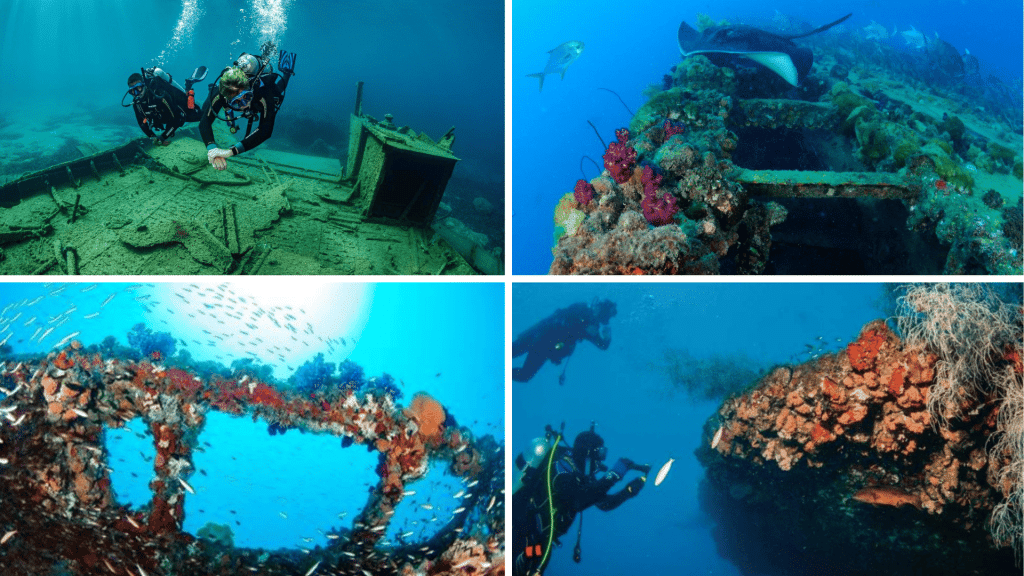 SS Yongala Wreck (Ayr Townsville)