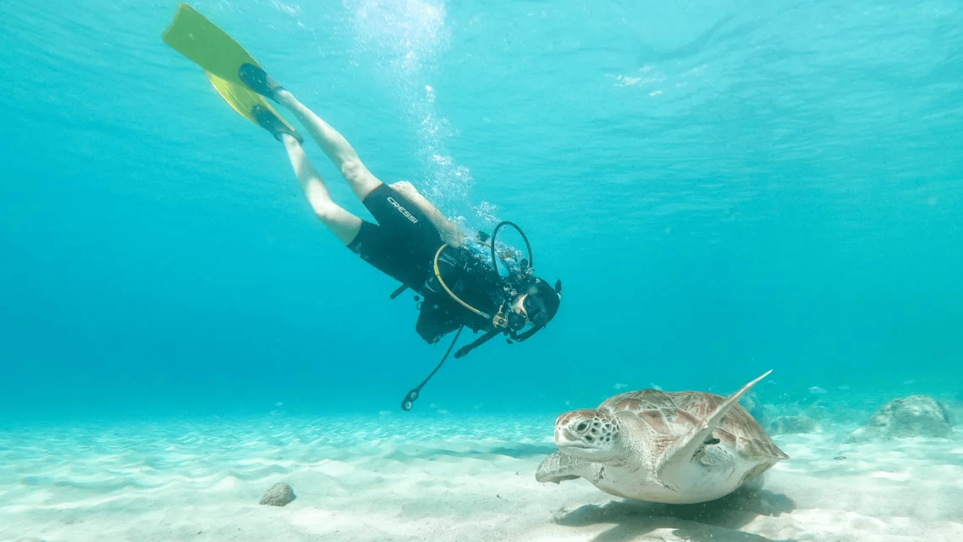 scuba diving in Curaçao