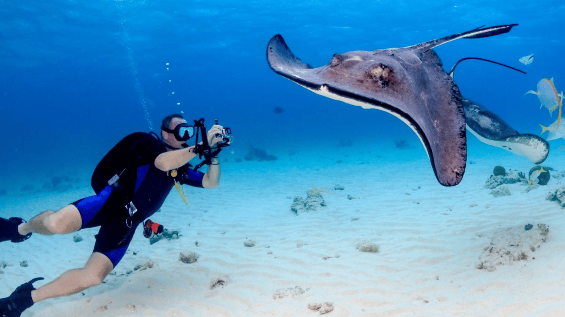 scuba diving in grand cayman cayman islands