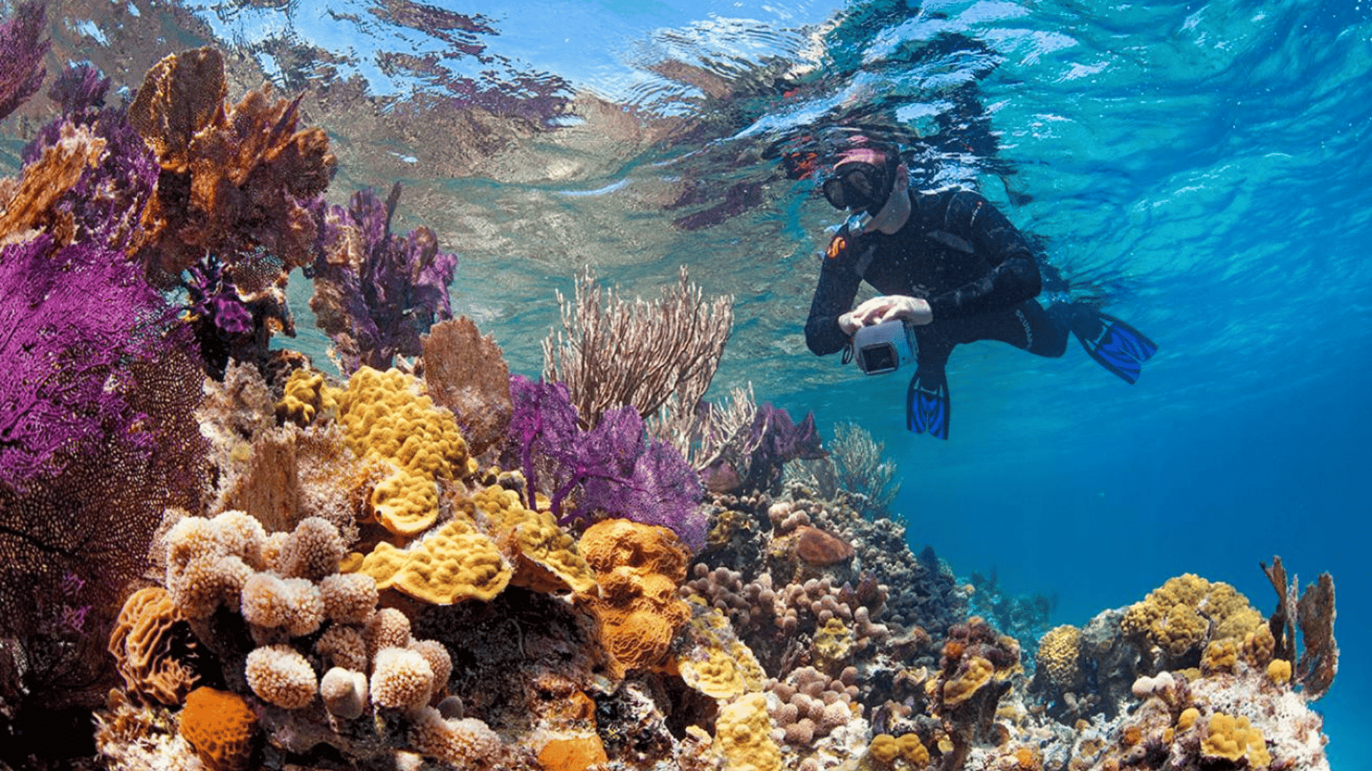 scuba diving in great blue hole