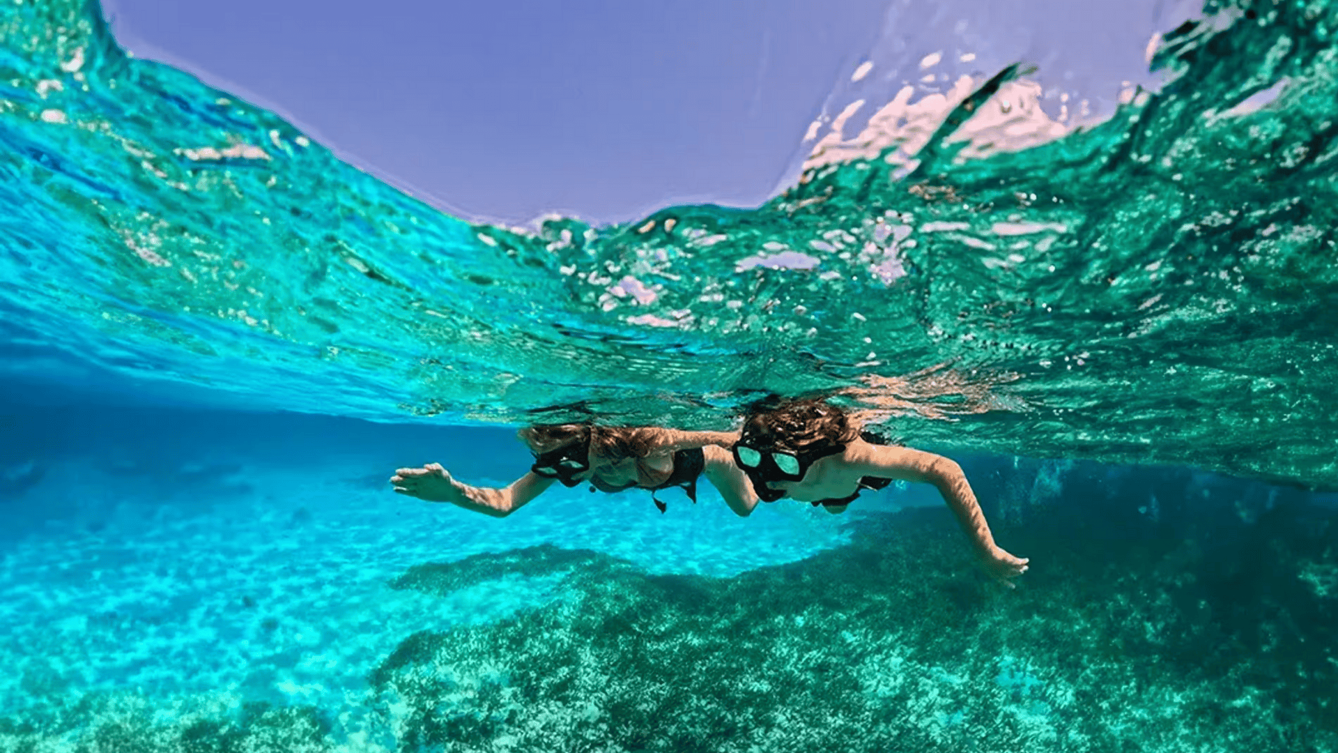 two people snorkeling