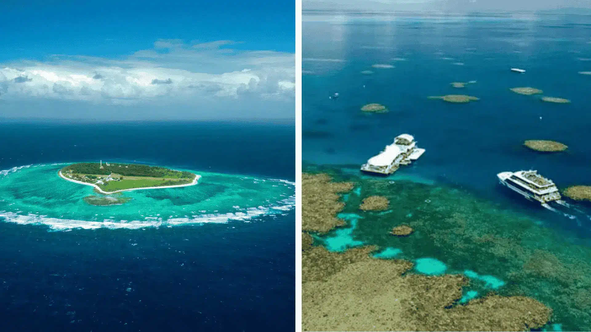 Outer-Reef-Vs-Island-Reefs