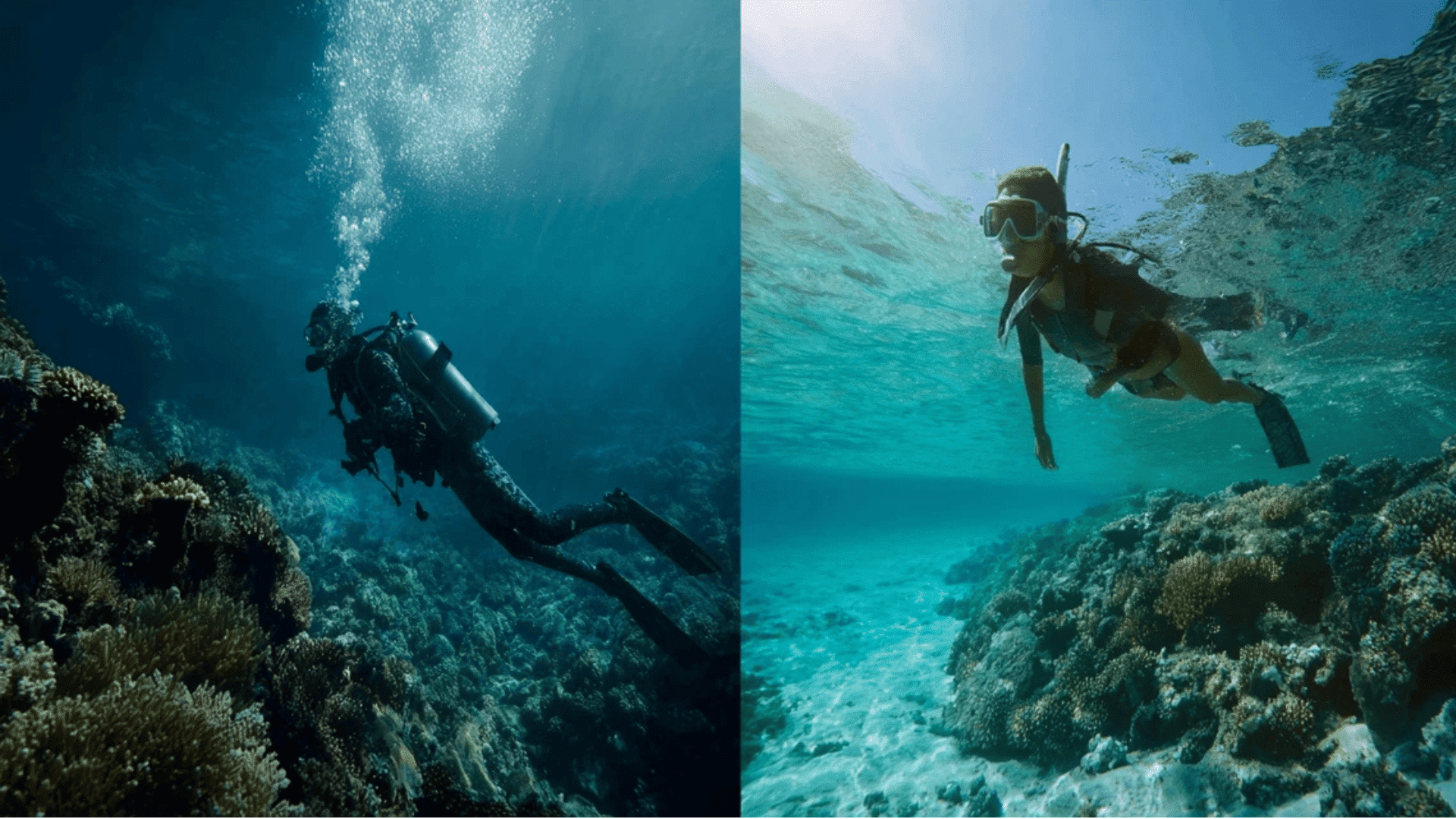 Scuba-Diving-vs-Snorkelling