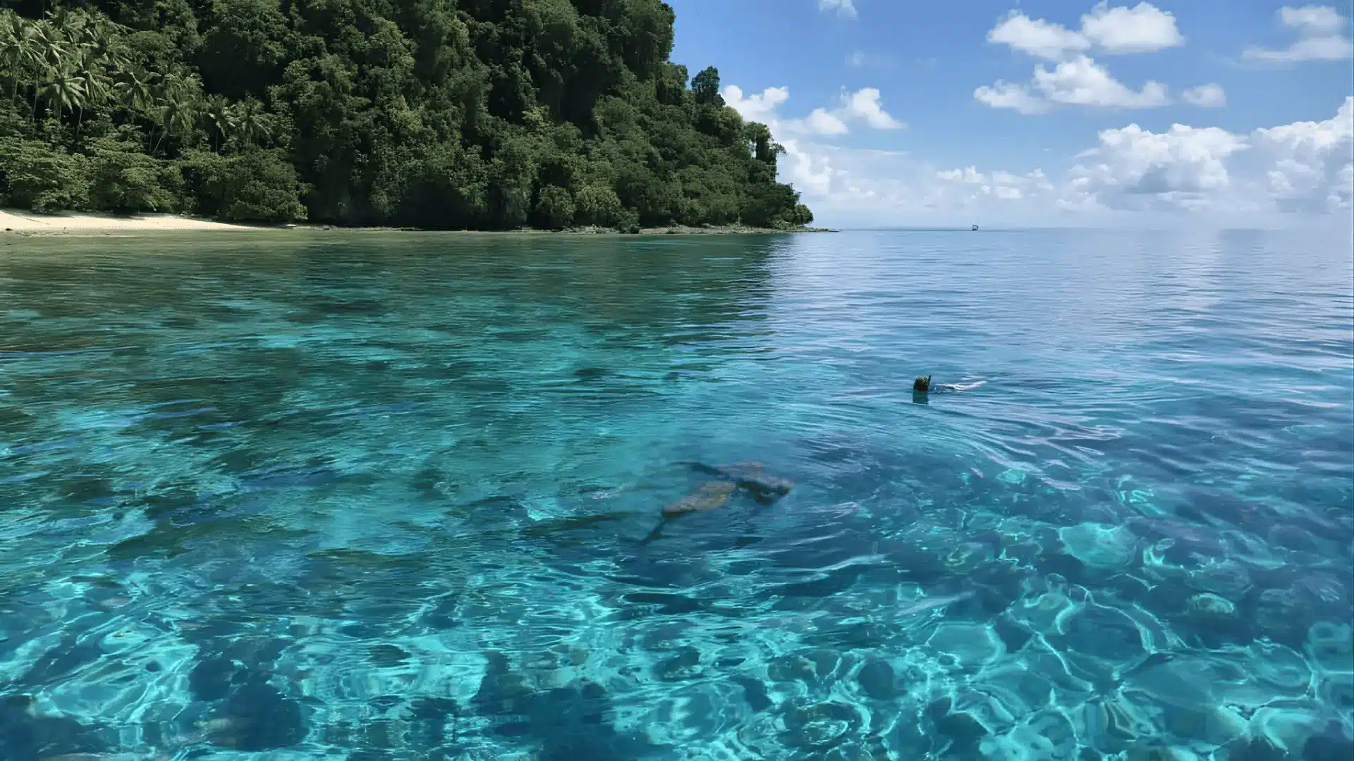 Clear turquoise water at Hastings Beach near Bridgetown Boardwalk, with reef shapes visible beneath a calm surface.