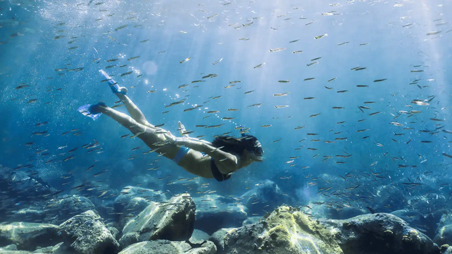 Snorkeler swims above a rocky reef in clear blue water with sun rays and a cloud of small fish