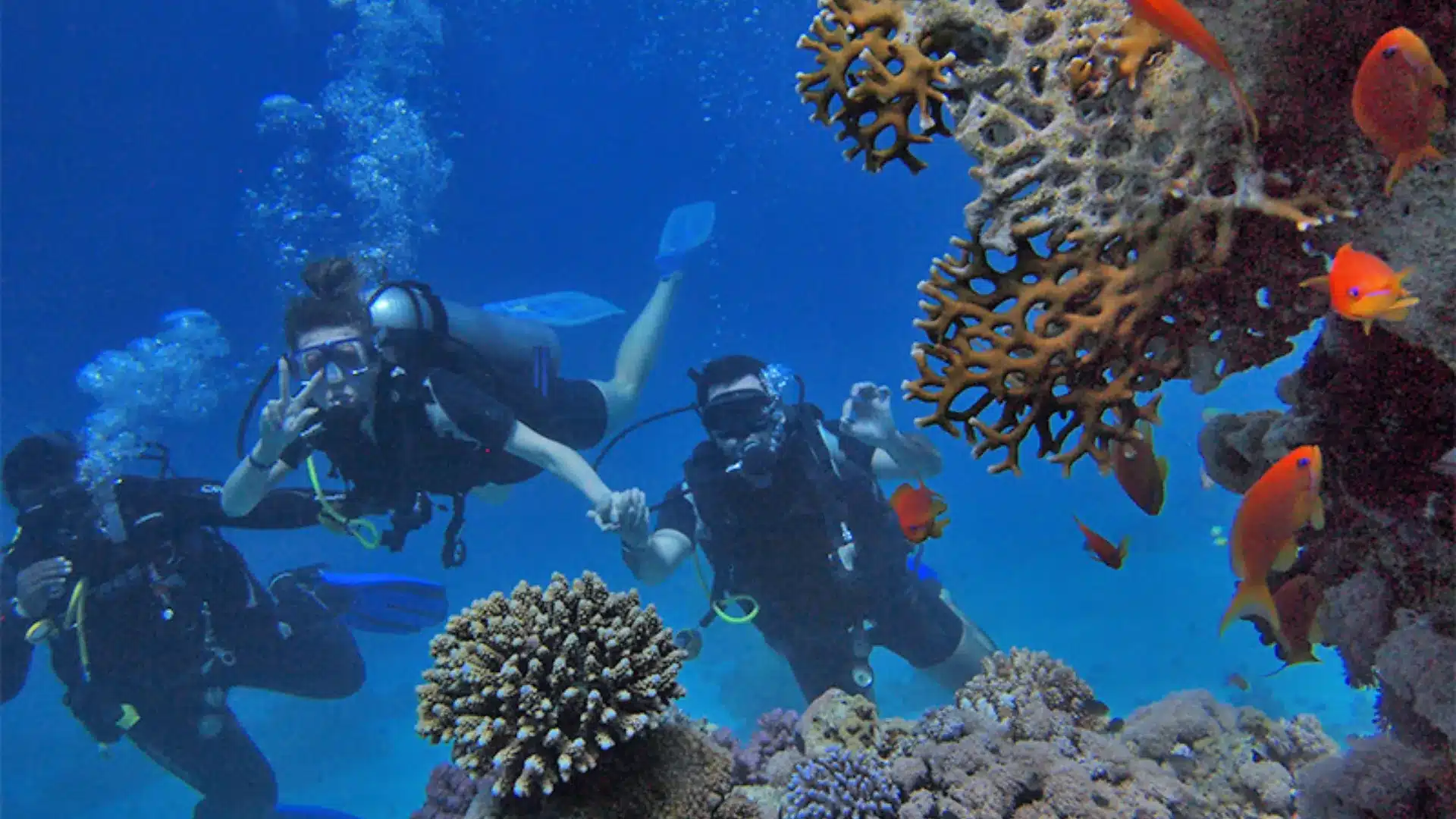 Scuba divers exploring a coral reef beside bright orange tropical fish.