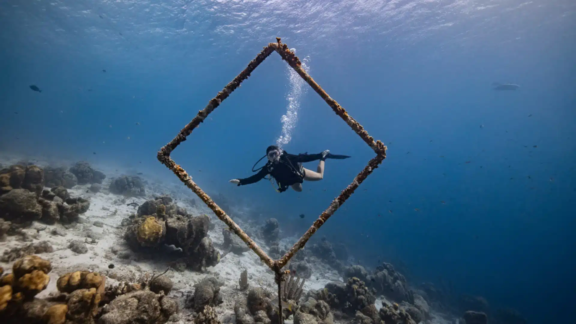 Scuba diver floating inside a square underwater sculpture frame above a reef slope.