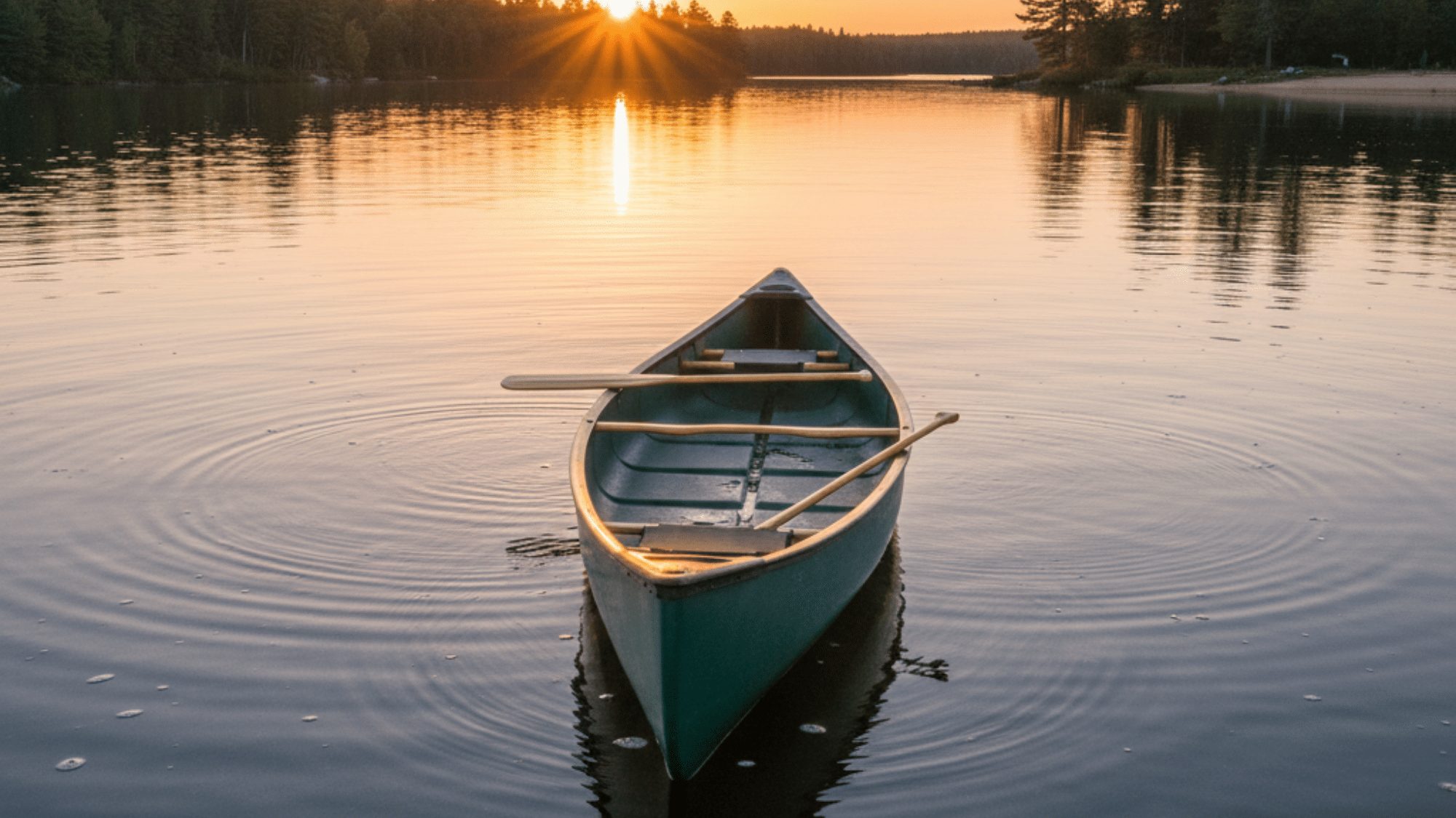 Green recreational canoe floating on a calm lake at sunset with paddles inside and trees along the shoreline.