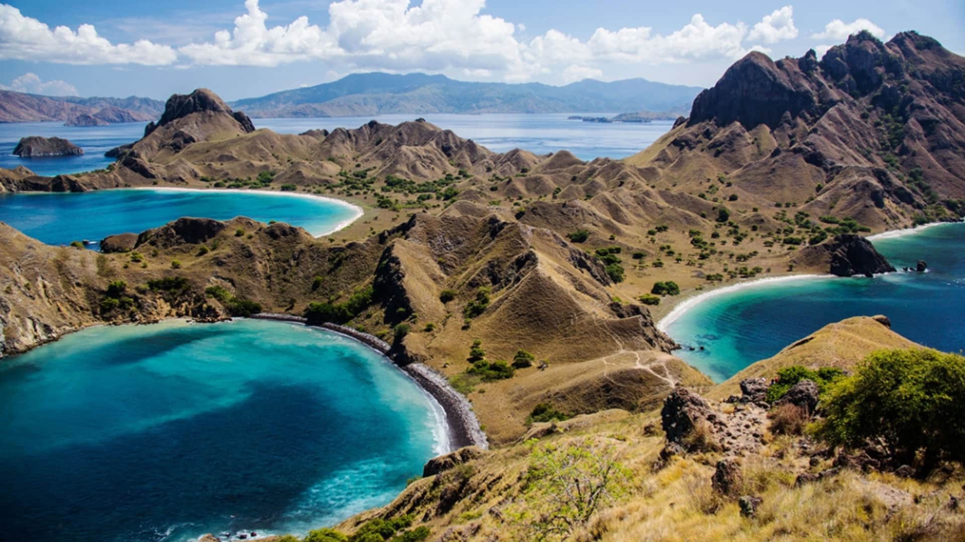 Rugged coastal hills and turquoise bays viewed from a high lookout in Komodo.