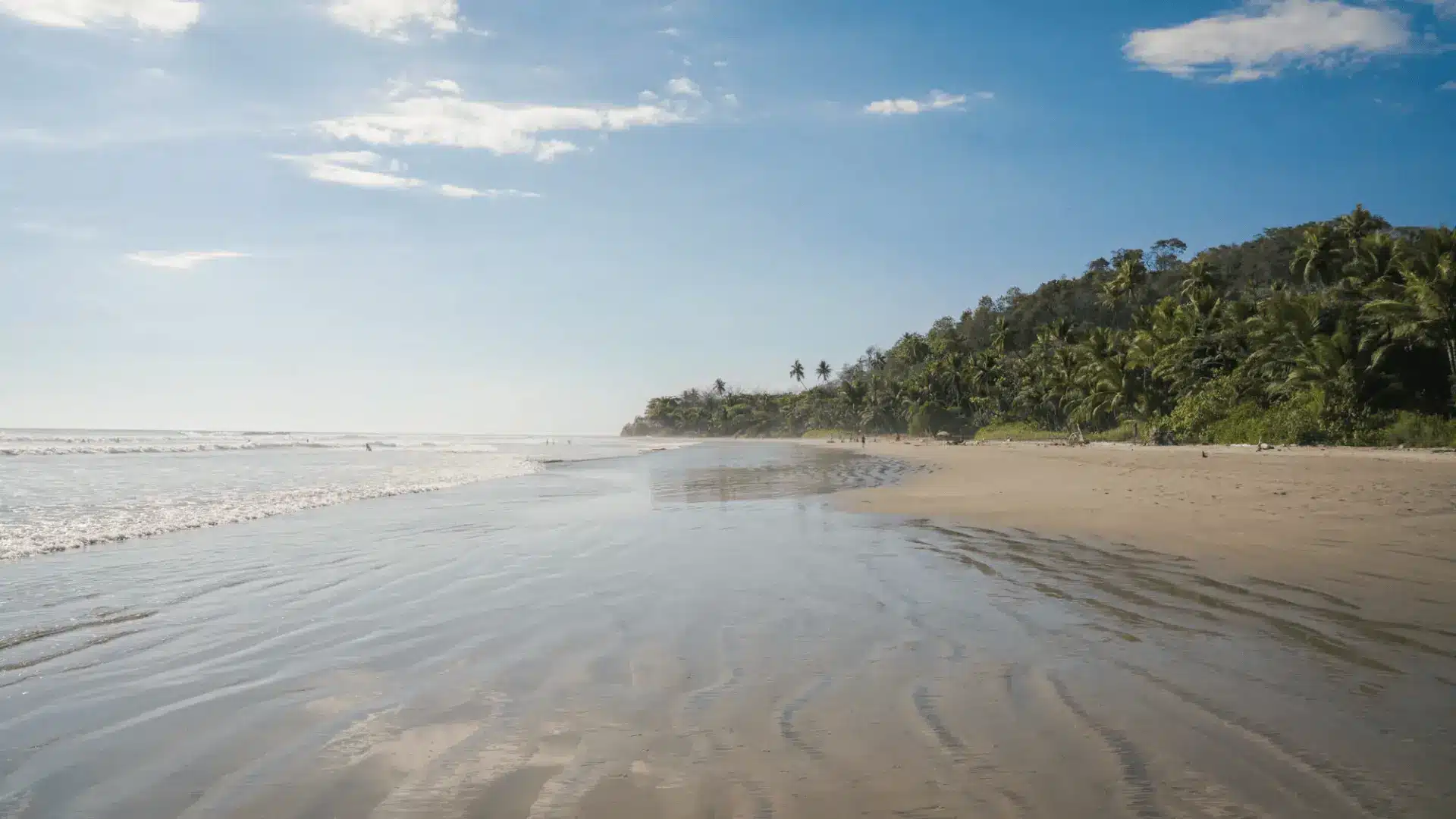 A sandy beach with a few trees under a clear blue sky, showcasing the tranquil beauty of Playa Hermosa, Nicoya Peninsula.