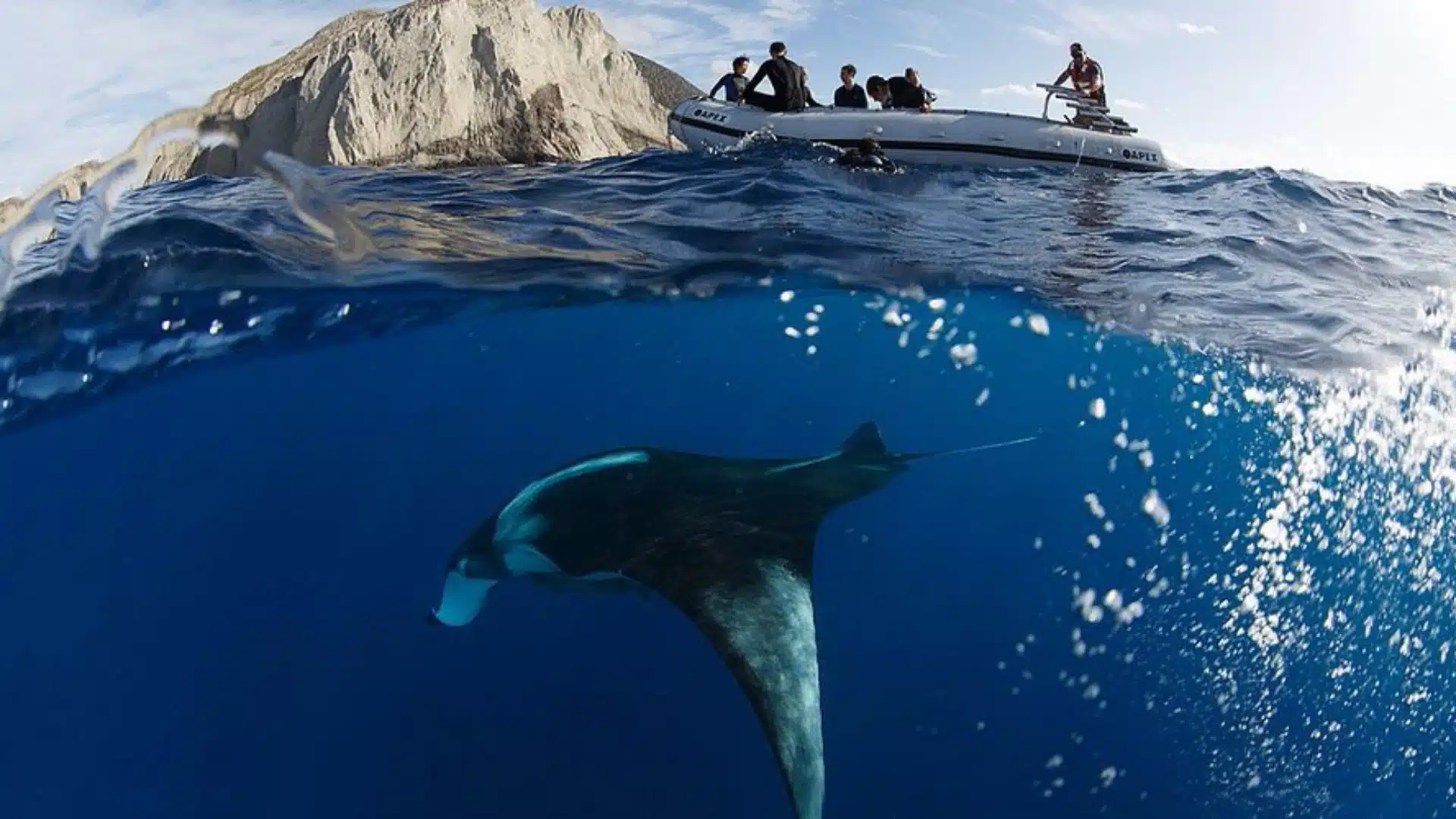 Giant manta ray swimming below the surface near a boat and a rocky island.