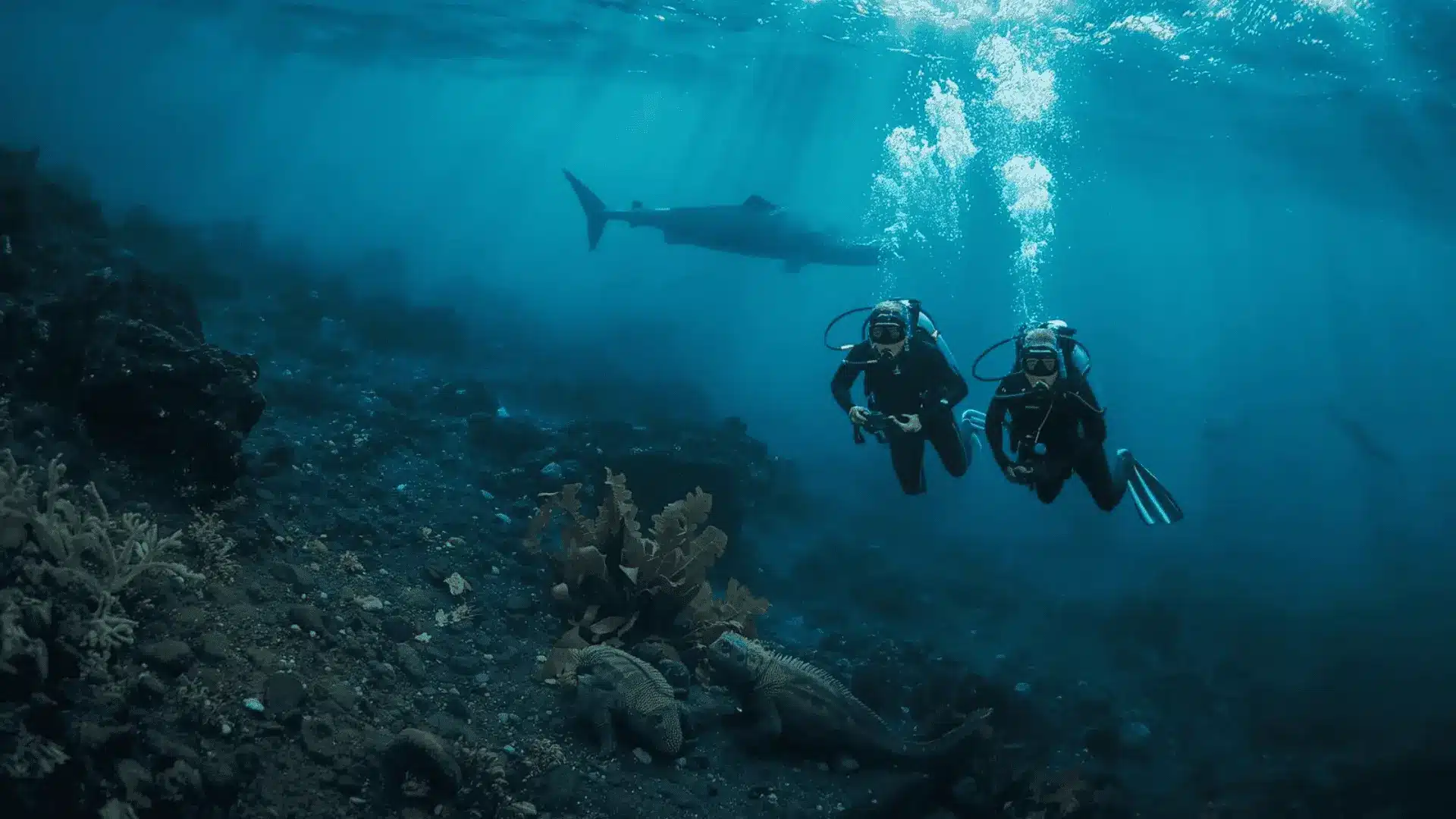 cape douglas fernandina galapagos scuba