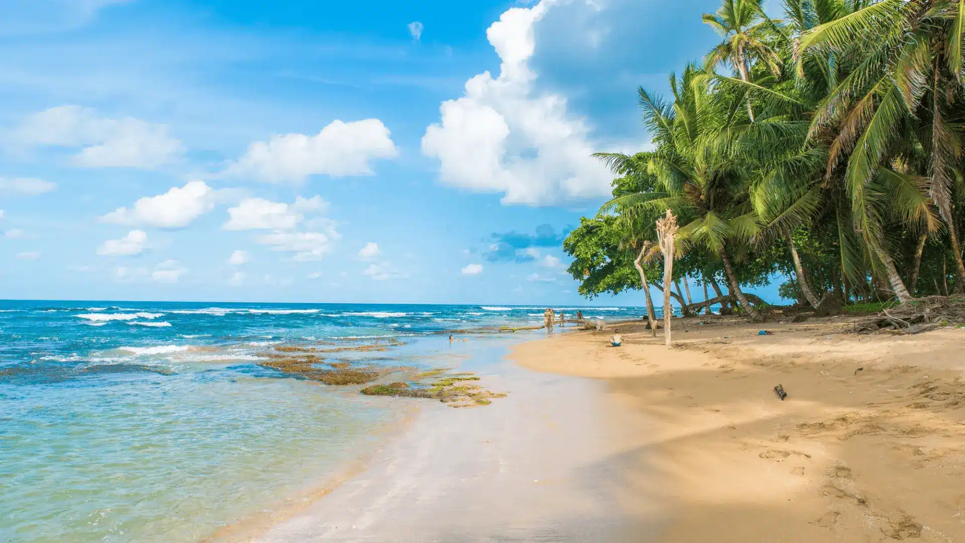 Playa Cocles beach scene featuring a few individuals strolling on the sand, with jungle vegetation lining the water’s edge.