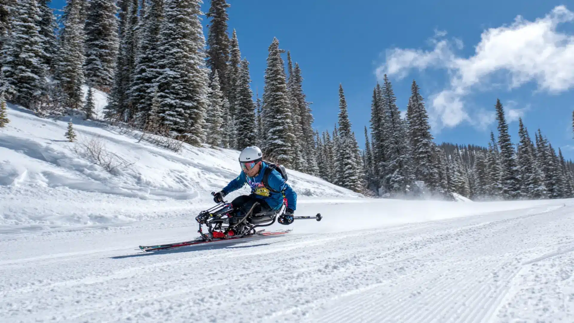 Adaptive sit-skier descending groomed slope with outriggers on a bright day.
