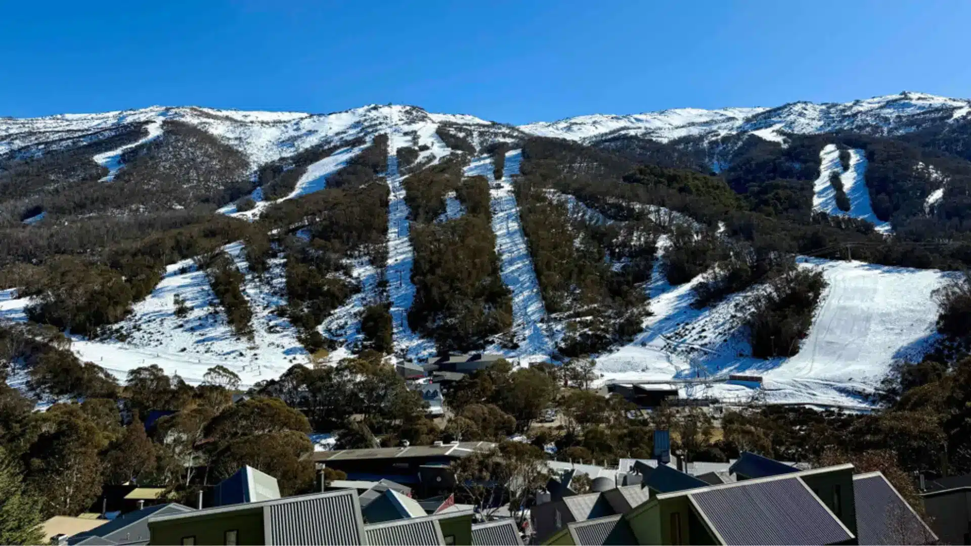 Snowy ski resort with groomed runs cutting through wooded mountains under a clear blue sky, with buildings in the foreground