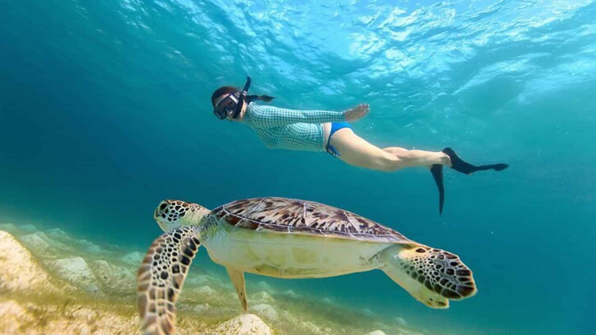 snorkelling in Abu Dabbab Bay, Marsa Alam, Egypt