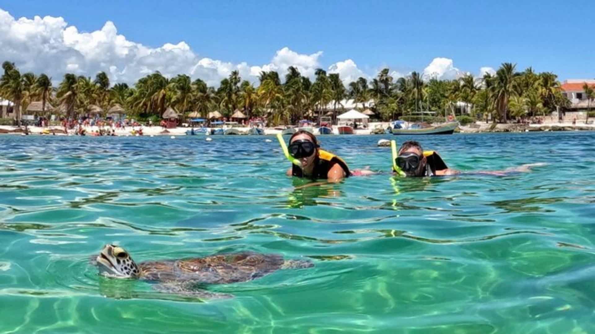snorkelling in Akumal Bay, Mexico