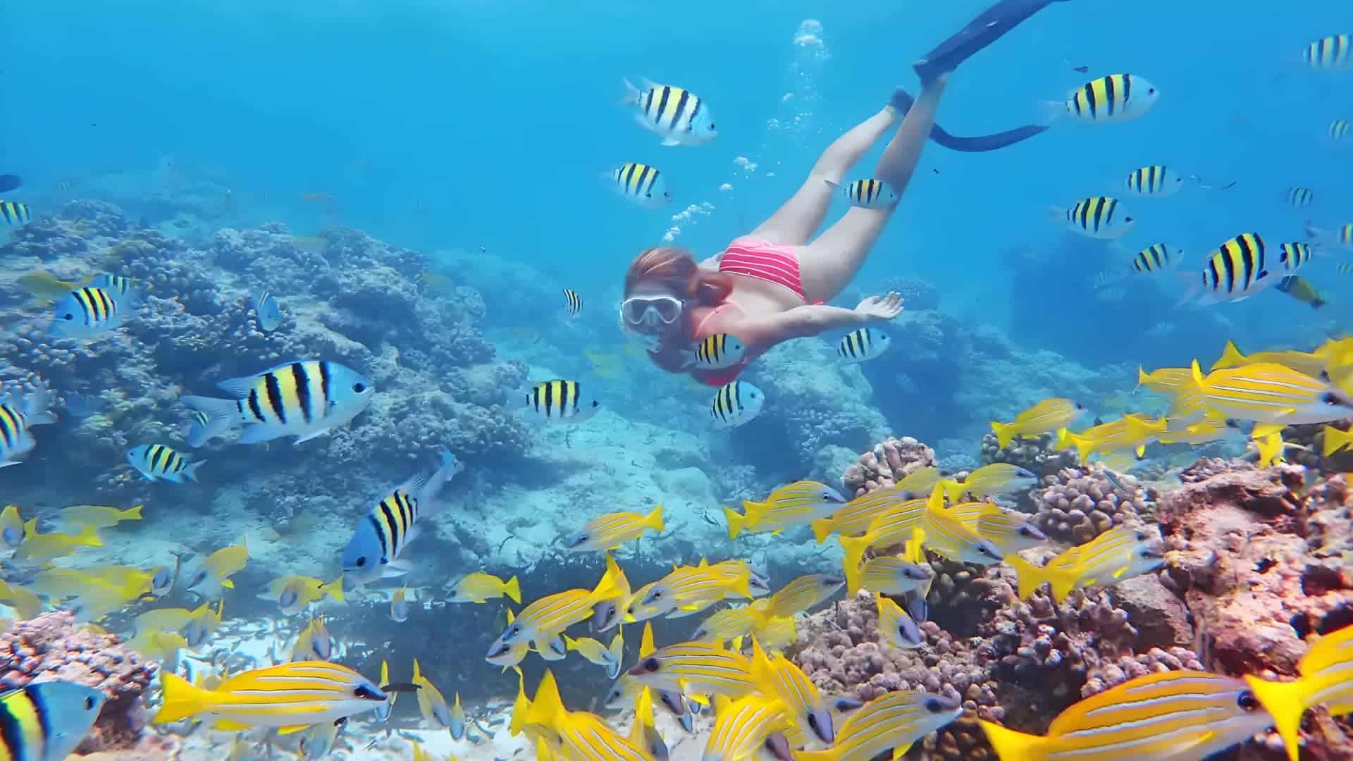 snorkelling in Anse Lazio, Praslin, Seychelles