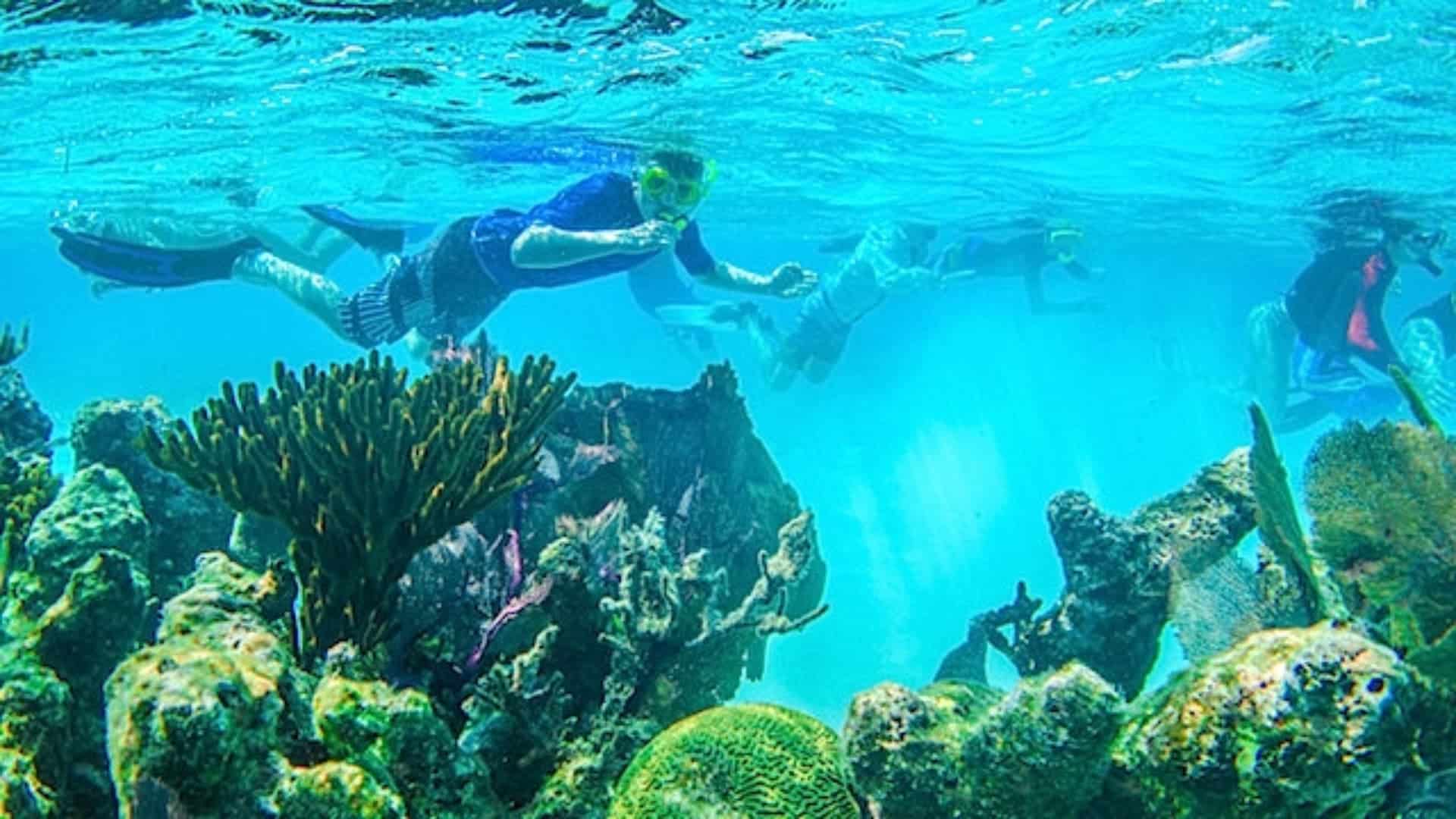 snorkelling in Belize Barrier Reef, Belize