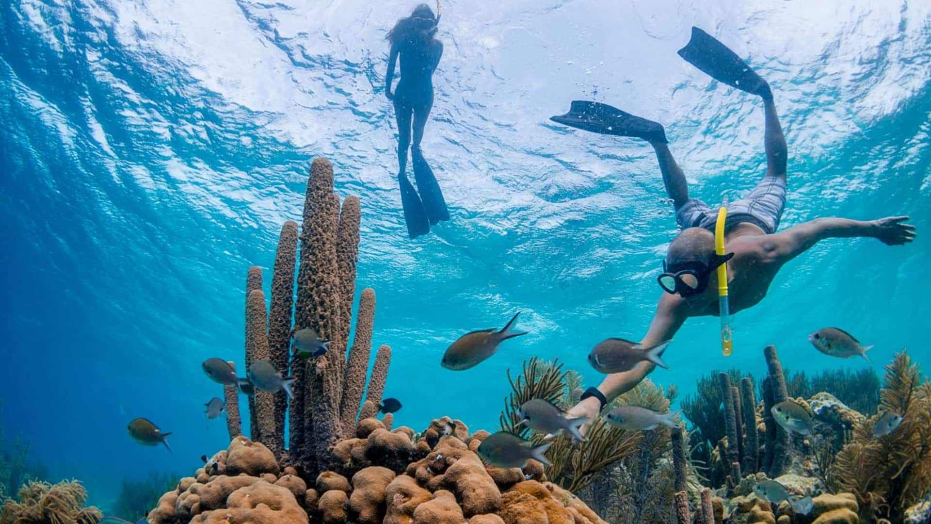 snorkelling in Bonaire