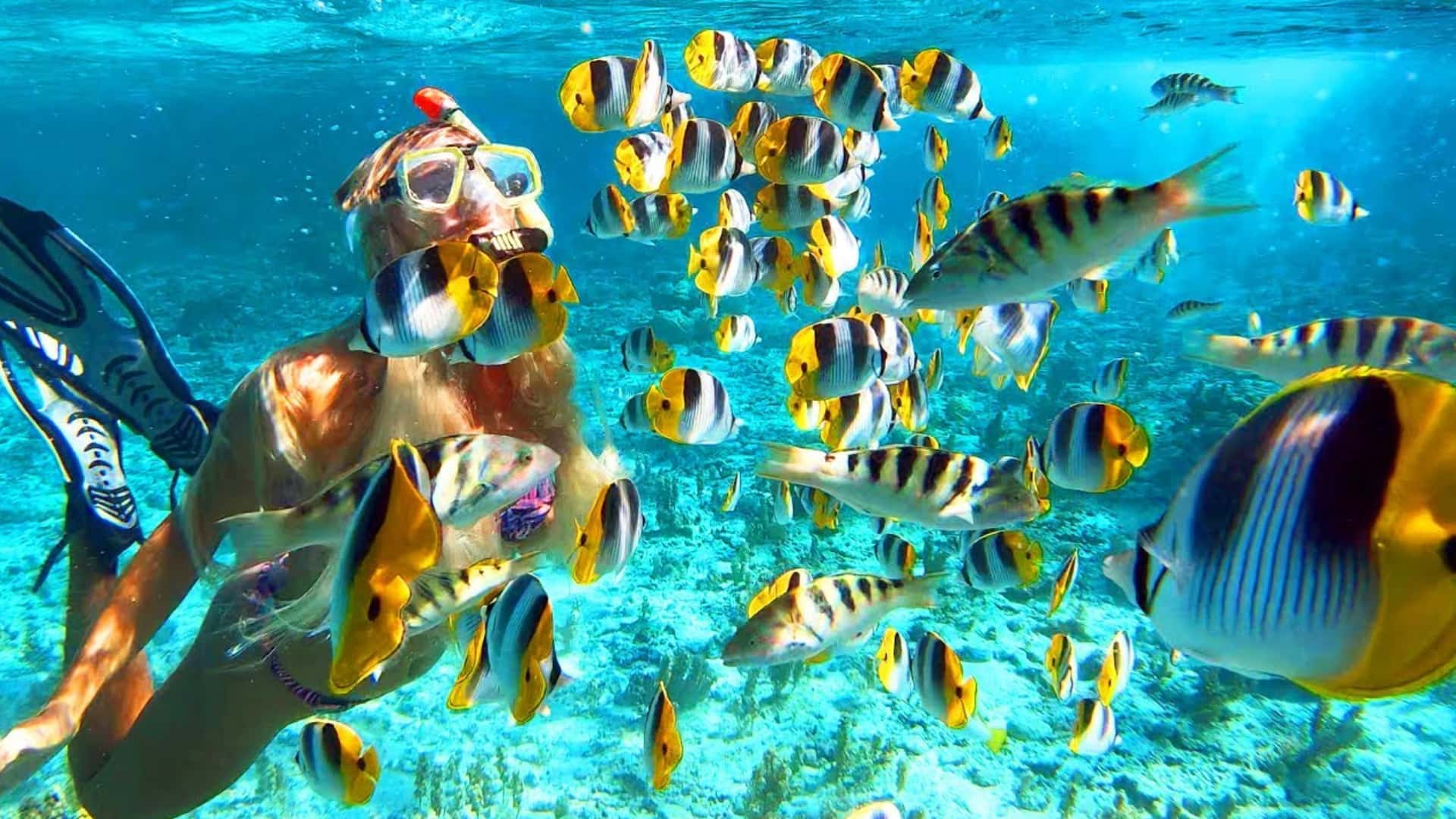 snorkelling in Bora Bora, French Polynesia