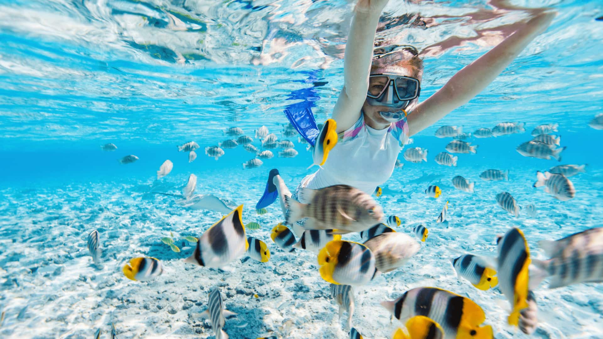 snorkelling in Curaçao
