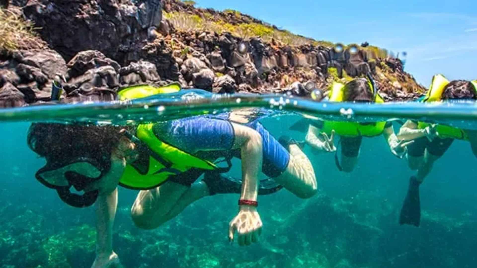 snorkelling in Galápagos Islands, Ecuador