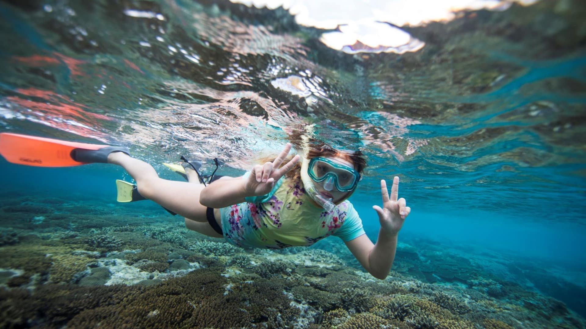 snorkelling in Heron Island, Great Barrier Reef, Australia