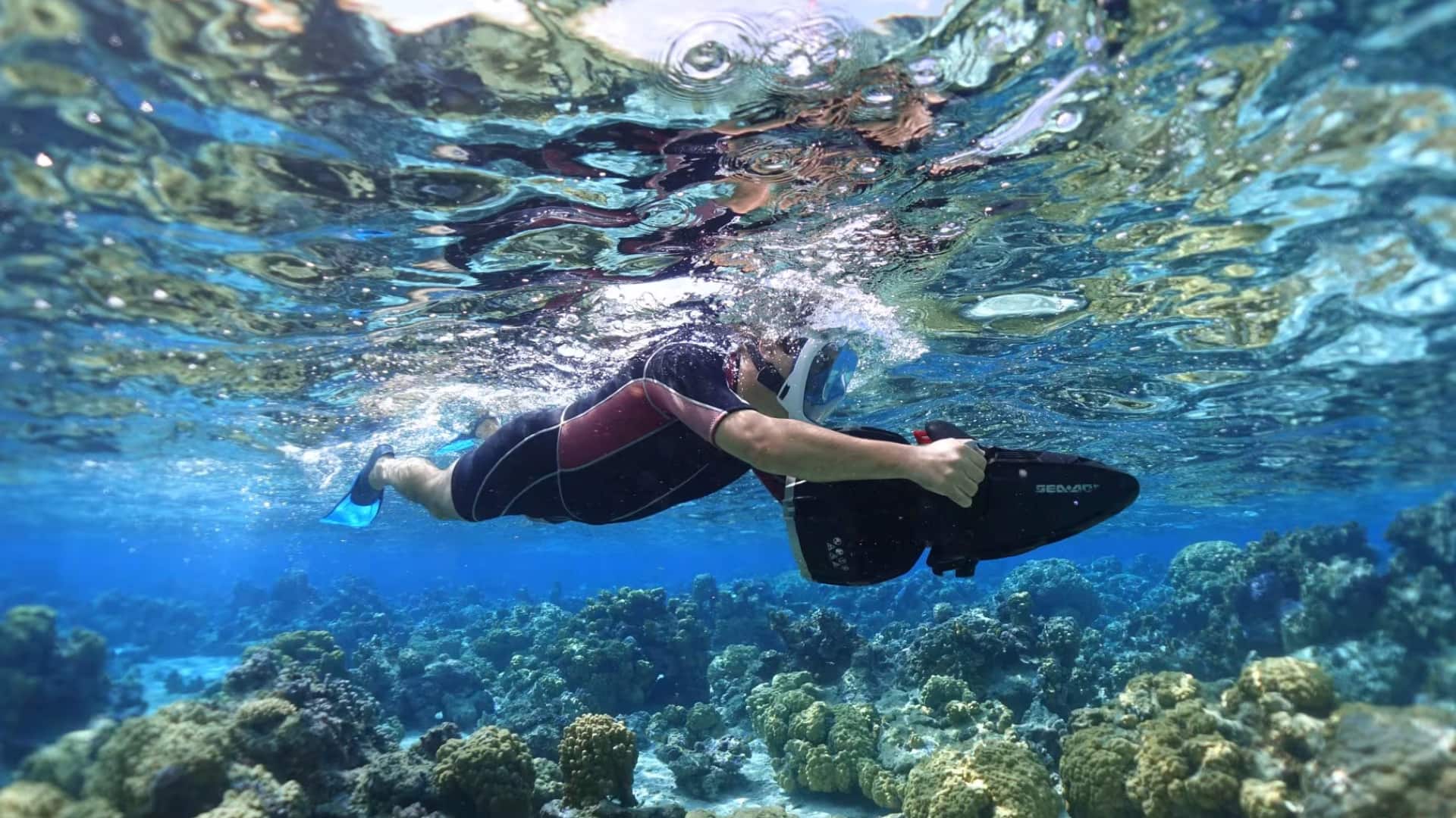 snorkelling in Moorea, French Polynesia