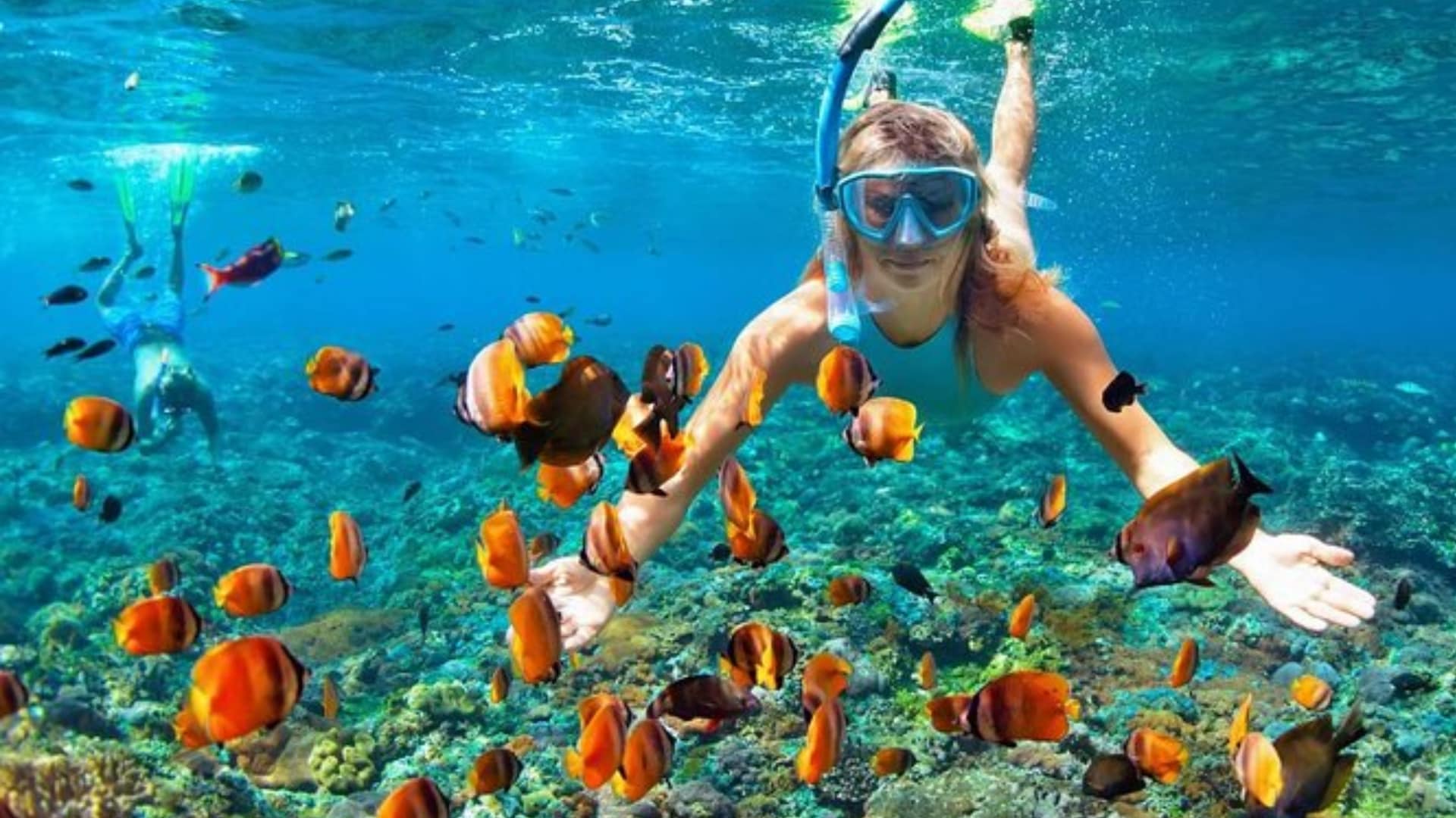 snorkelling in Sharm El Sheikh House Reefs, Egypt