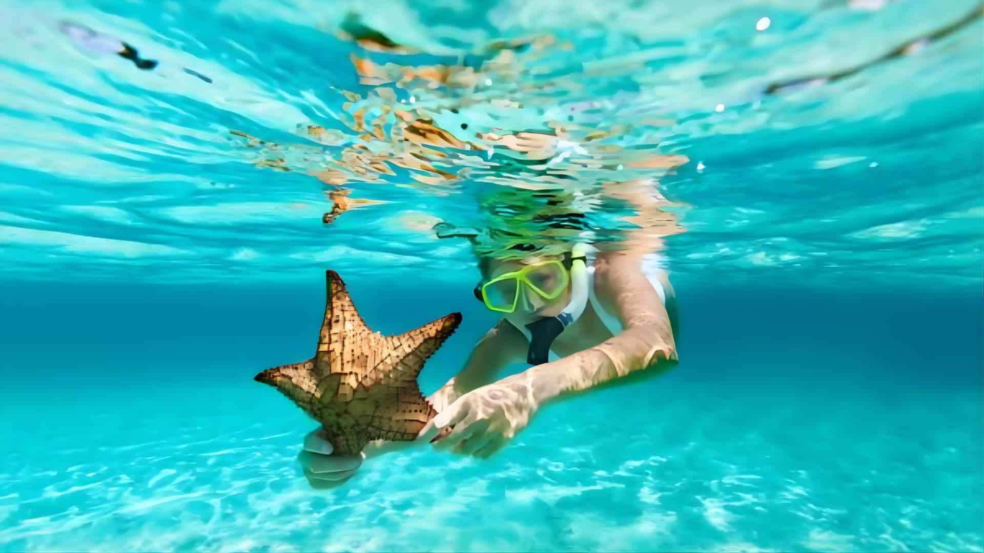 snorkelling in West Bay, Roatán, Honduras (1)