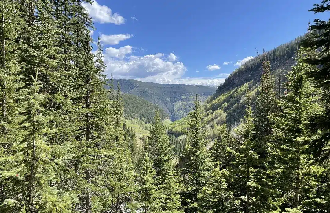 Booth Lake Trail