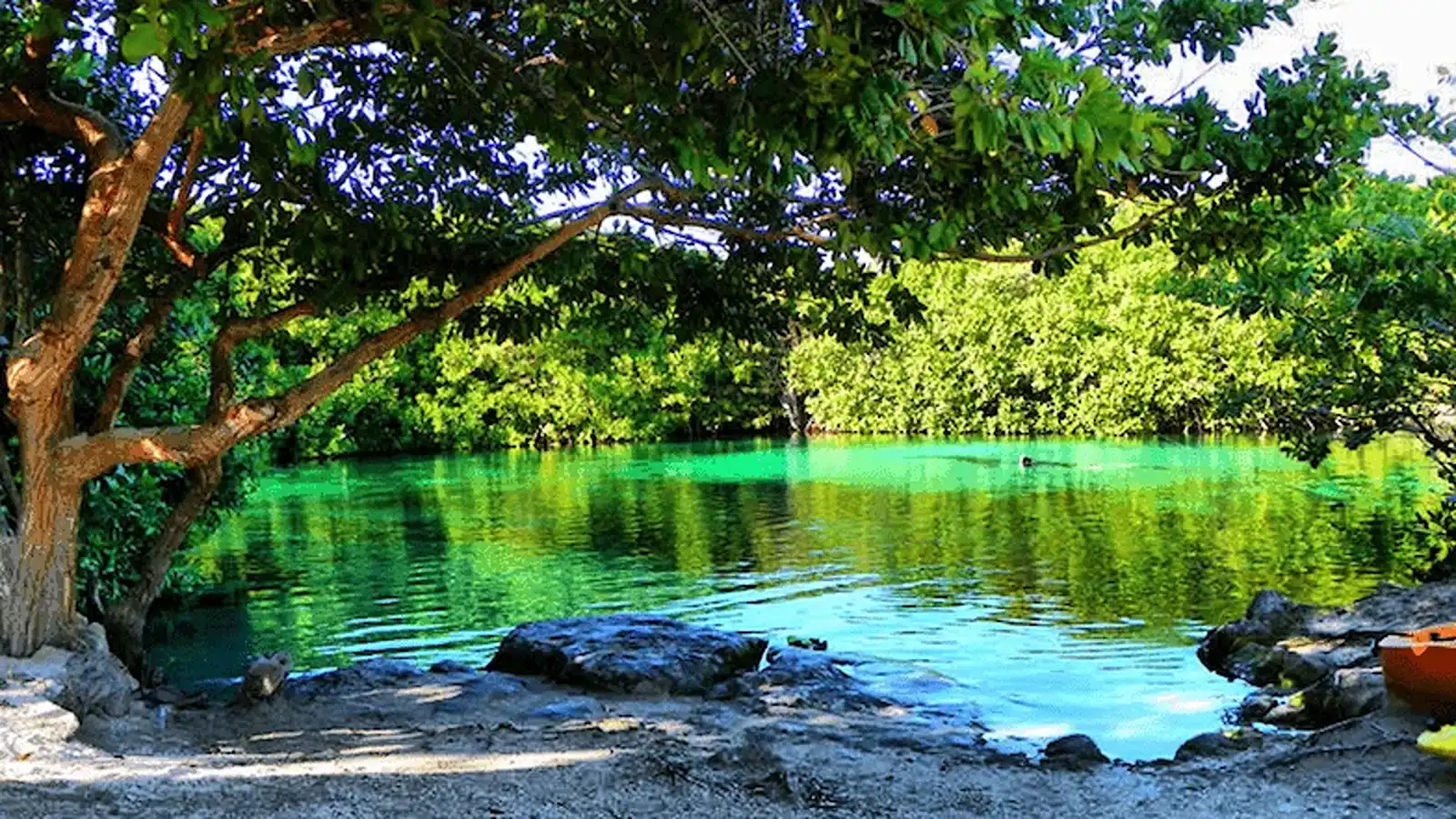 Casa Cenote