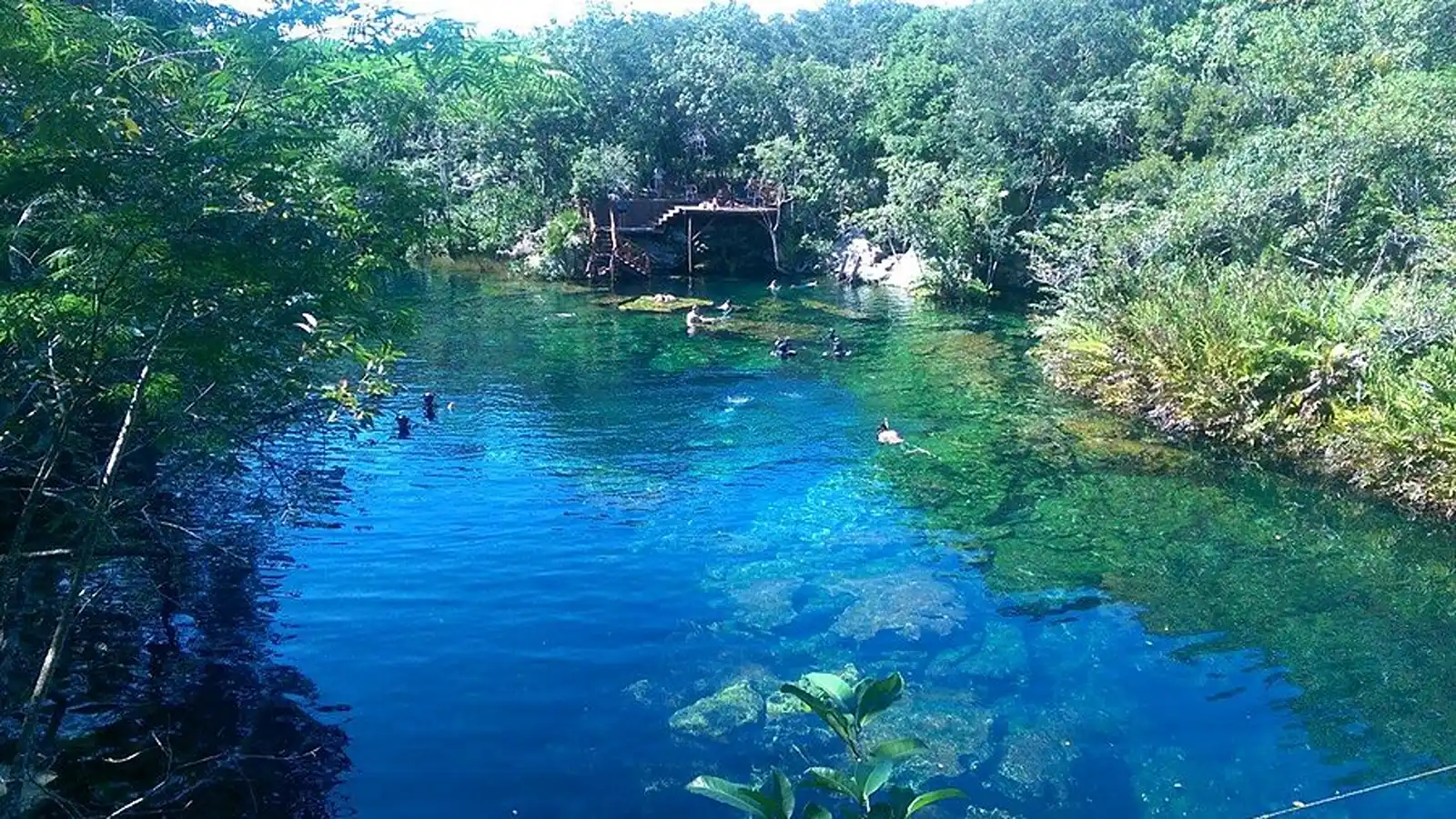 Jardín del Edén